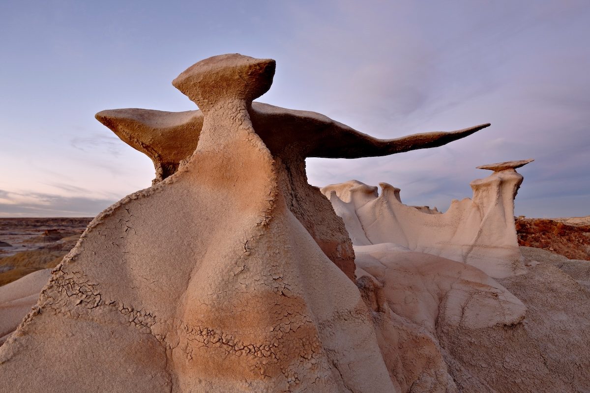 Bisti Wings