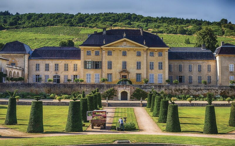 Enjoy a private wine tasting in Beaujolais