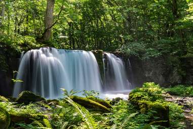 One of the stunning waterfalls of Oirase Gorge.